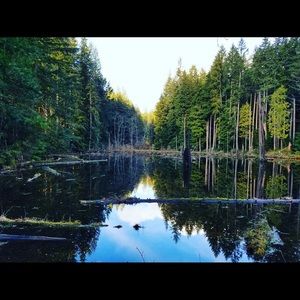 Meet your Posher, Kristina